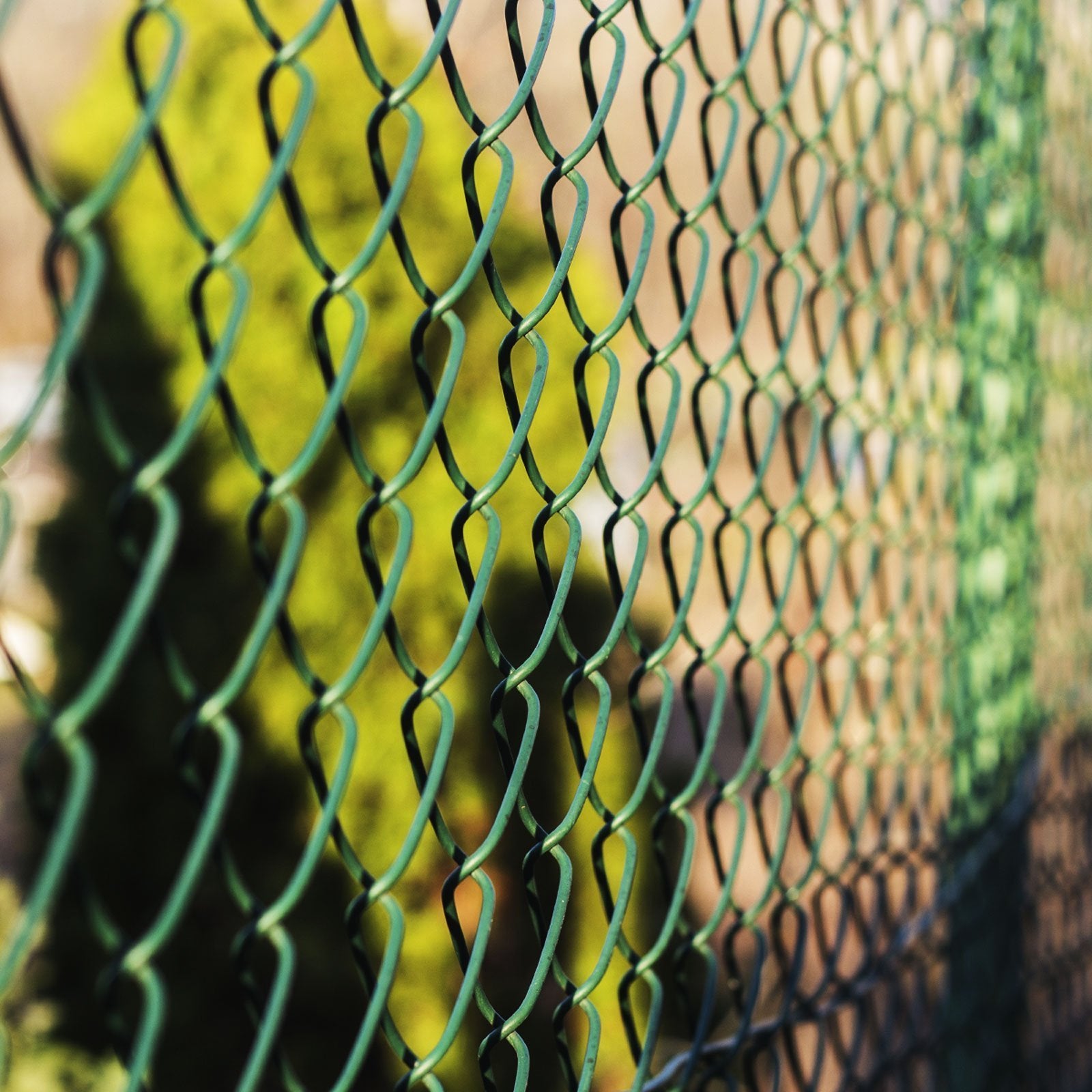 Chain link fence | PVC coating | Green | Various lengths and heights