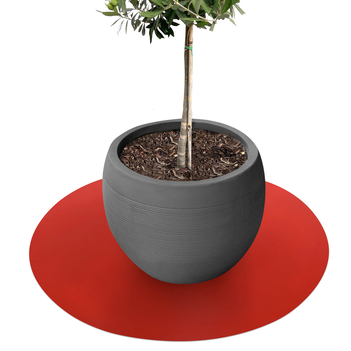 Saucer for flower pots with bevelled edge | Majesty | Protection for the floor | In many colours and sizes