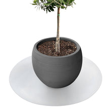 Saucer for flower pots with bevelled edge | Majesty | Protection for the floor | In many colours and sizes