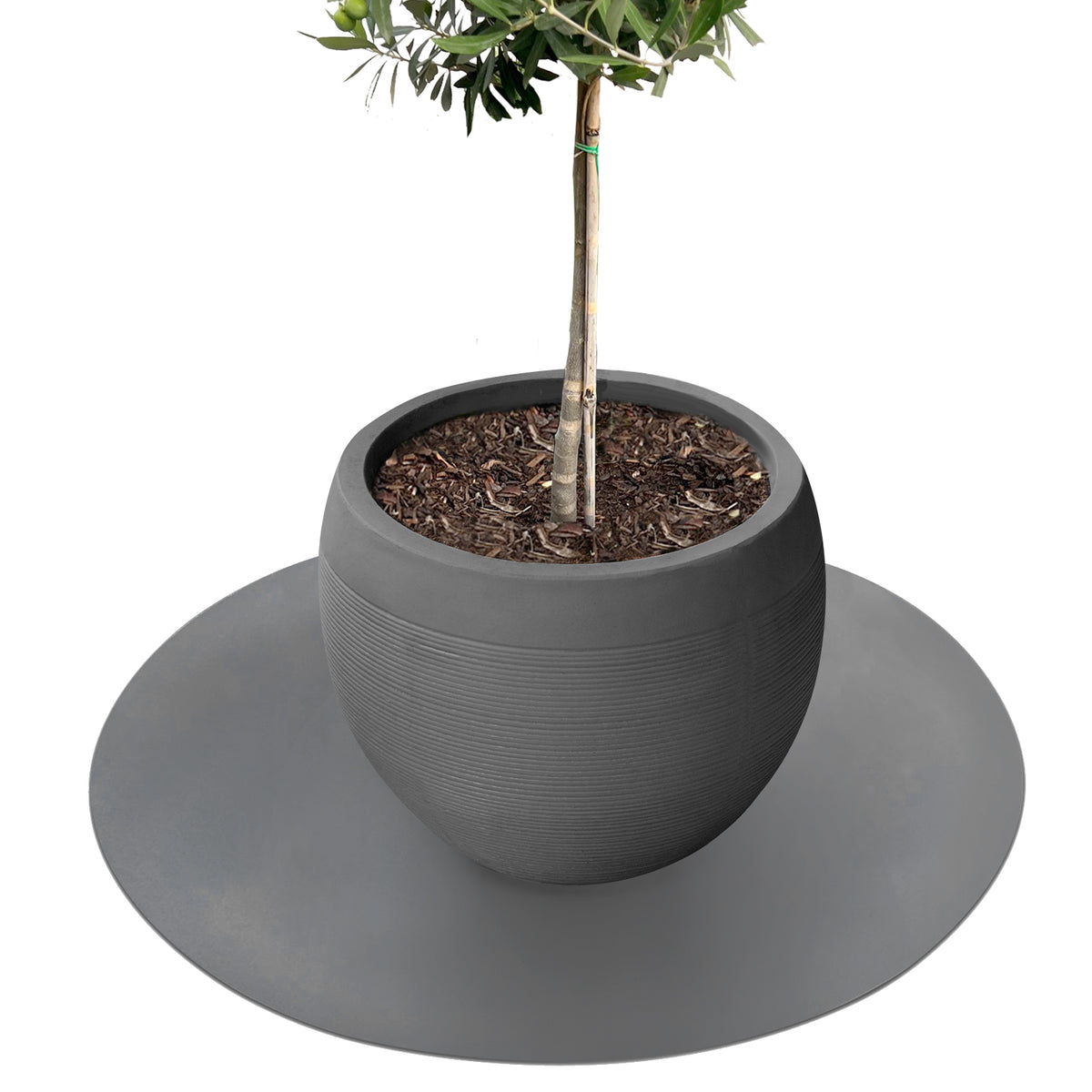 Saucer for flower pots with bevelled edge | Majesty | Protection for the floor | In many colours and sizes