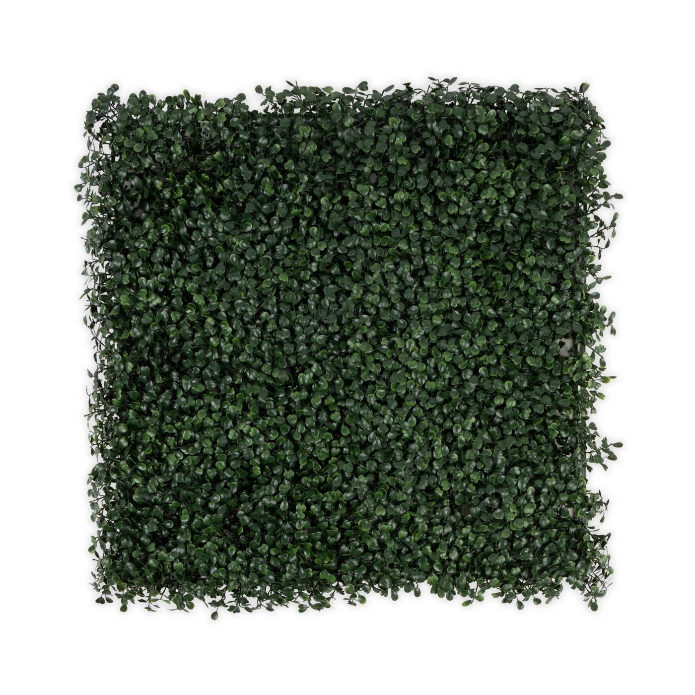 Artificial Plant Tile | Boxwood - Dark Green | Plant Tiles for Wall Mo