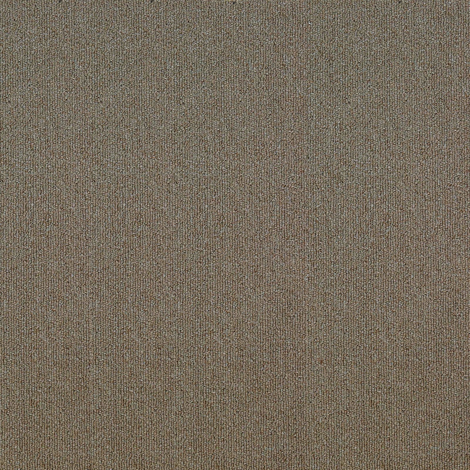 F8_Beige | Beige