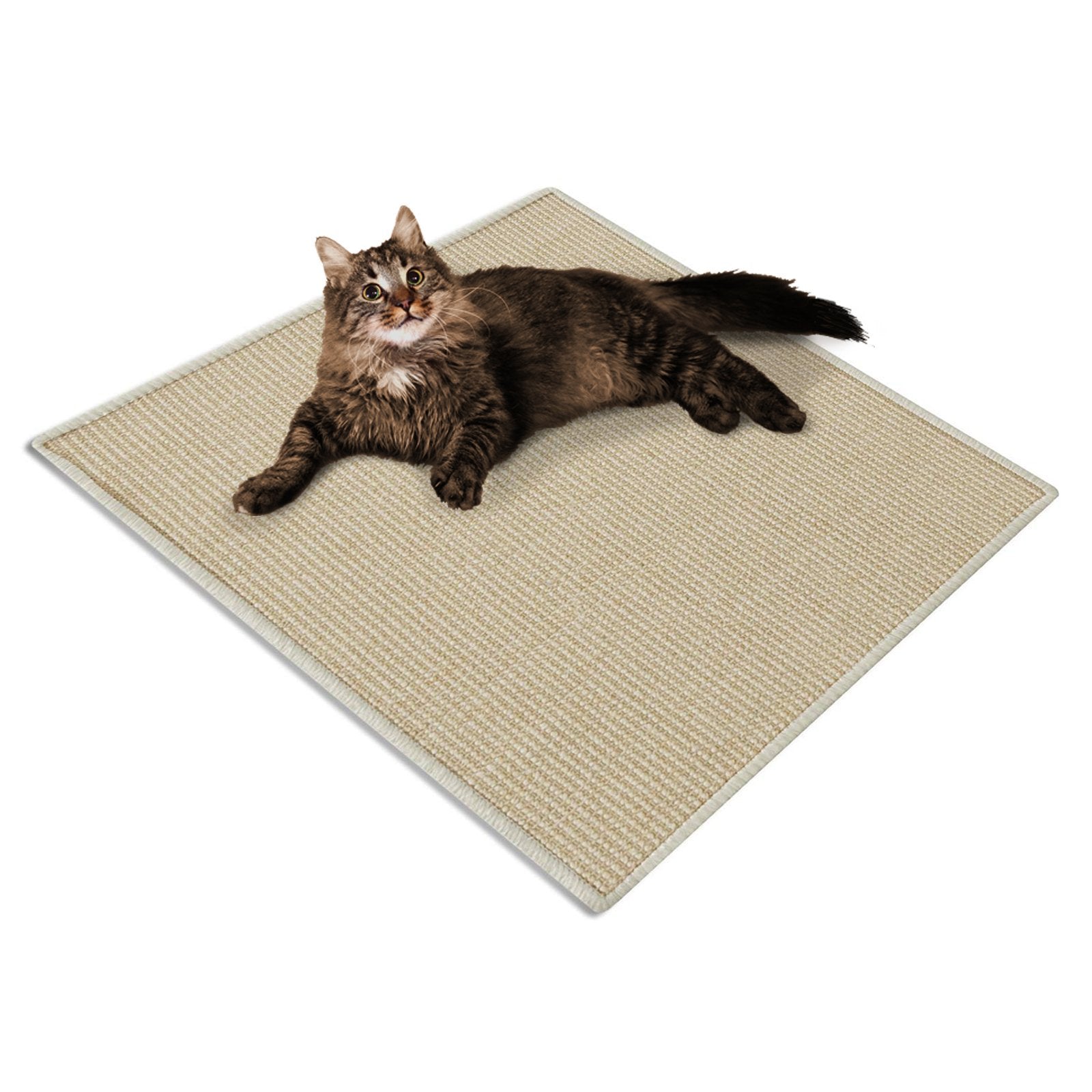 Cat clawing carpet best sale